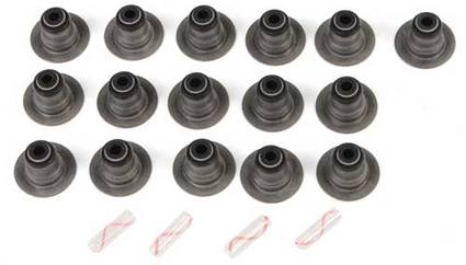 Mini Valve Stem Seal Kit 11340029571 – Elring 191420