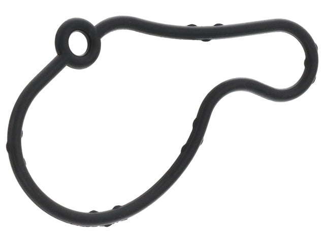 Vacuum Pump Gasket