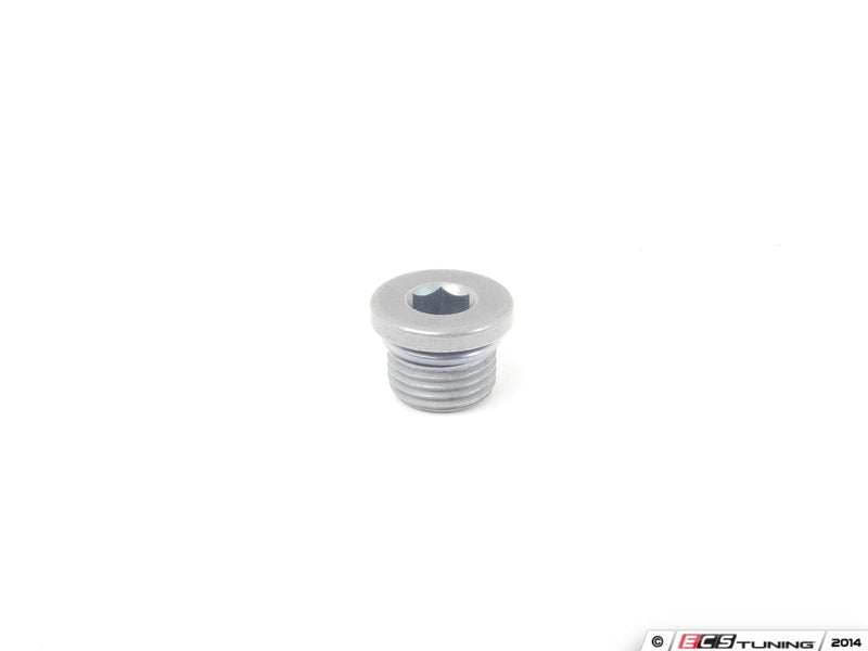 Drain/Fill Plug - Priced Each
