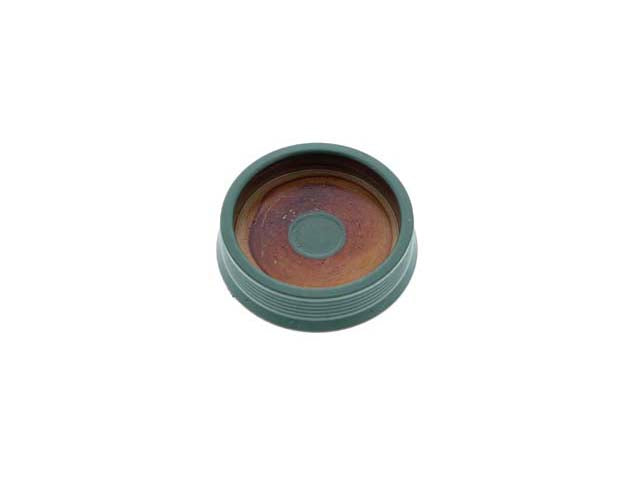 Cylinder Head Plug