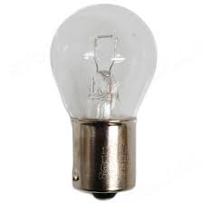 Clear Bulb - Priced Each