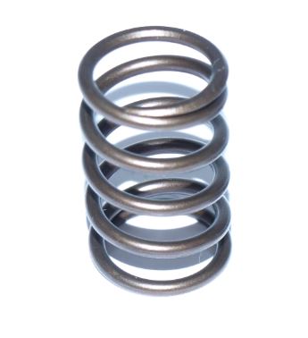 Schrick Valve spring 001302026 (001302026)
