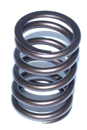 Schrick Valve spring 001402054 (001402054)
