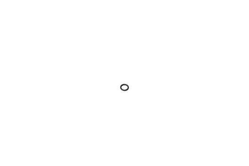 CRP INDUSTRIES O-Ring - 0019973548