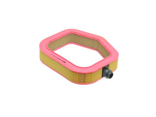 MANN FILTER Air Filter - C 40 193