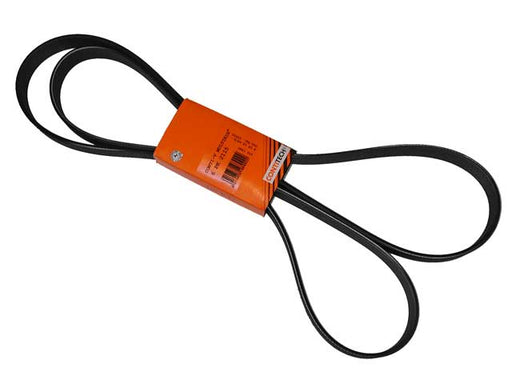 CONTINENTAL Belt 8K X 2440 - 8PK2440
