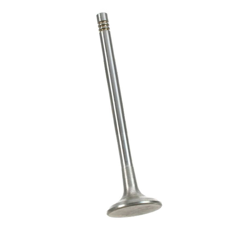 VW Exhaust Valve 022109611H