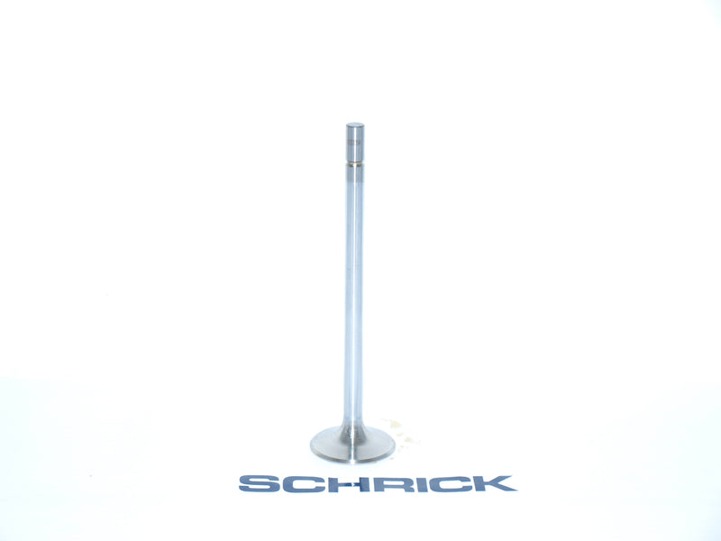 Schrick Exhaust Camshaft - Valve BMW S14 32 mm (022713054)