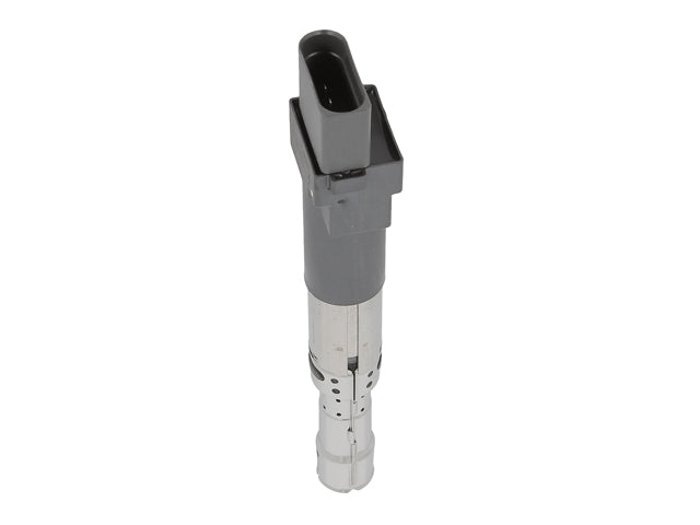 BERU Ignition Coil - E2019102063A1
