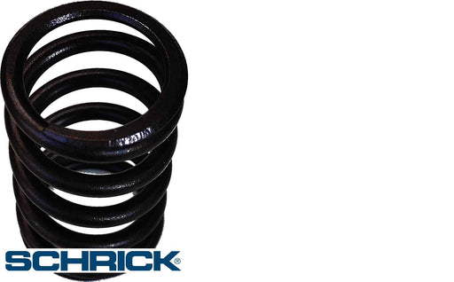 Schrick Valve spring 029902031 (029902031)