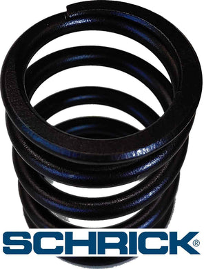 Schrick Valve spring 029902050 (029902050)