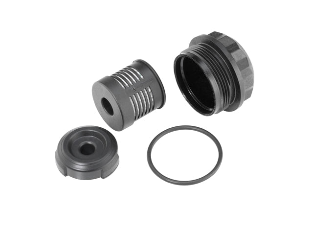 BORG WARNER Oil Filter - DS120359