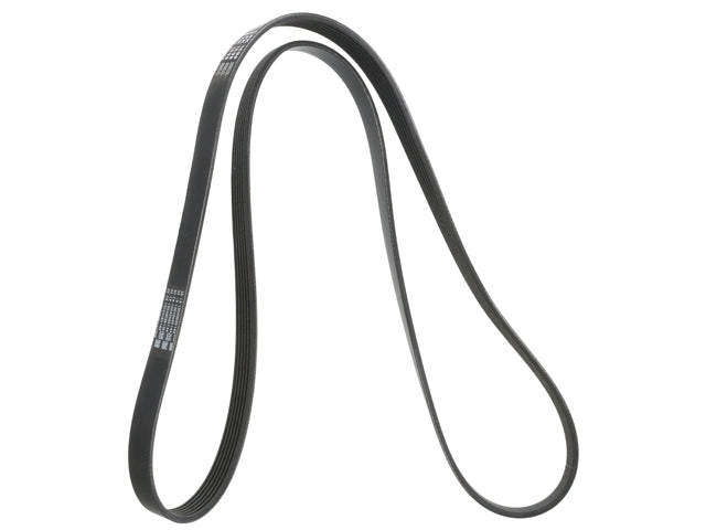 CONTINENTAL Drive Belt 6K X 1698 - 6PK1698
