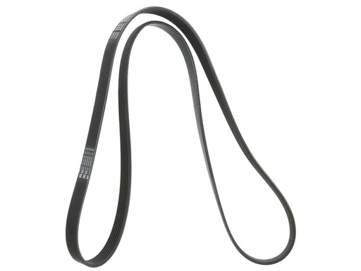 CONTINENTAL Drive Belt 6K X 1698 - 6PK1698