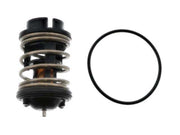 REIN AUTOMOTIVE Thermostat - CTN0025