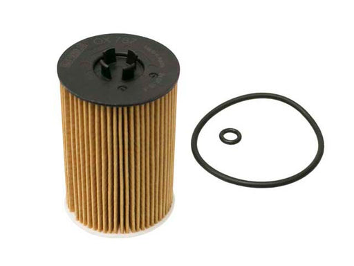 MAHLE Oil Filter Kit - OX 787D