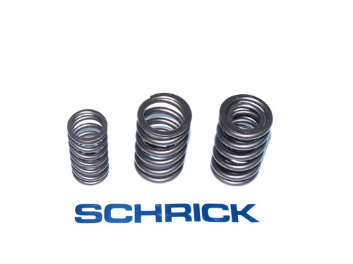 Schrick Valve spring 041502095 (041502095)