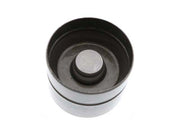 INA Hydraulic Valve Lifter - 4200043100