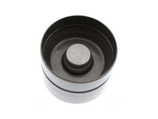 INA Hydraulic Valve Lifter - 4200043100