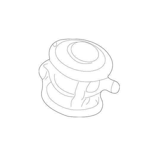 Secondary Air Pump Check Valve