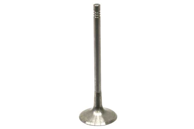 TRW Intake Valve - 331125