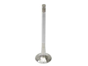 TRW Exhaust Valve - 331126