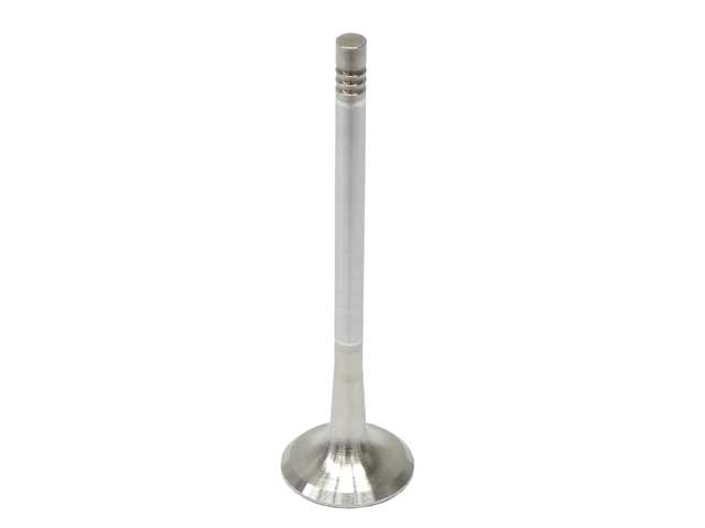 TRW Exhaust Valve - 331126