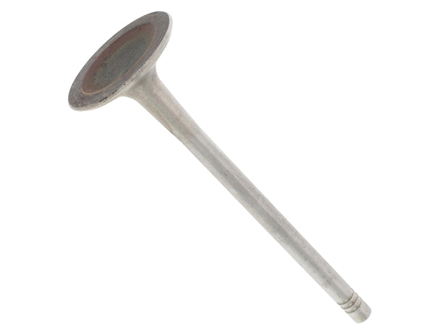 O.E.M. Intake Valve - 06E-109-601 Q