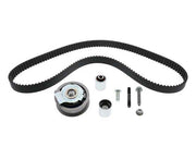 INA Timing Belt Kit - 5300445100