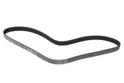 CONTINENTAL Belt 6K X 1130 - 6PK1130