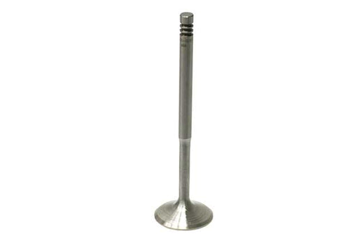 SM ENGINE PARTS Intake Valve - 077109601Q-EC