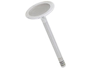 TRW Intake Valve - 33403