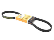 CONTINENTAL Belt 5PK X 925 - 5PK925