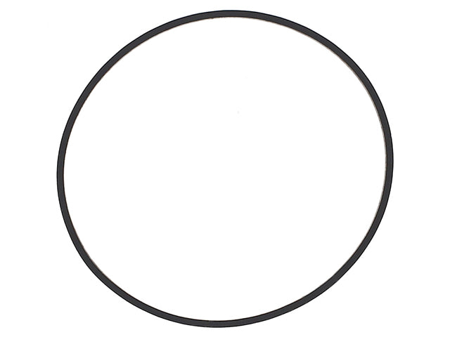 Throttle Body Seal