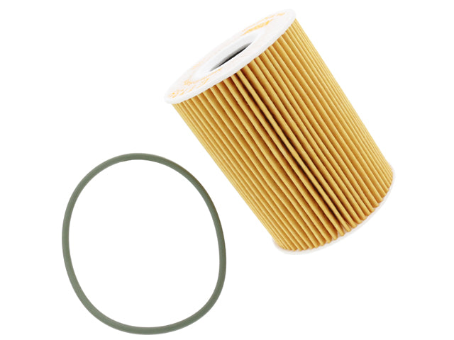 HENGST Oil Filter Kit - E113H D235