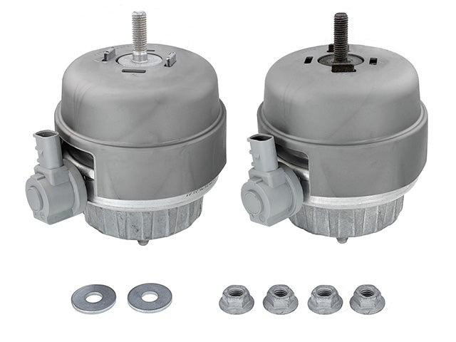 MEYLE Engine Mount Set - 100 199 3001/S
