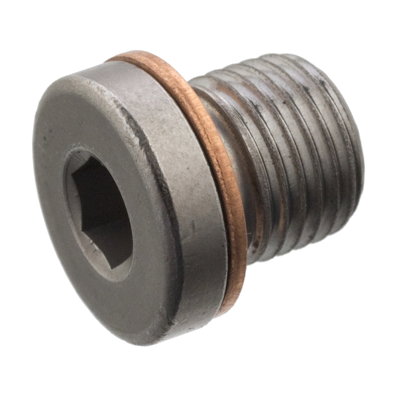 Febi Bilstein Differential Drain Plug 101021
