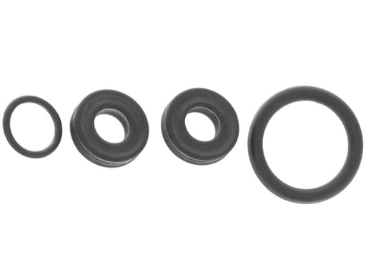 CSS O-Ring Kit O-SSF1000