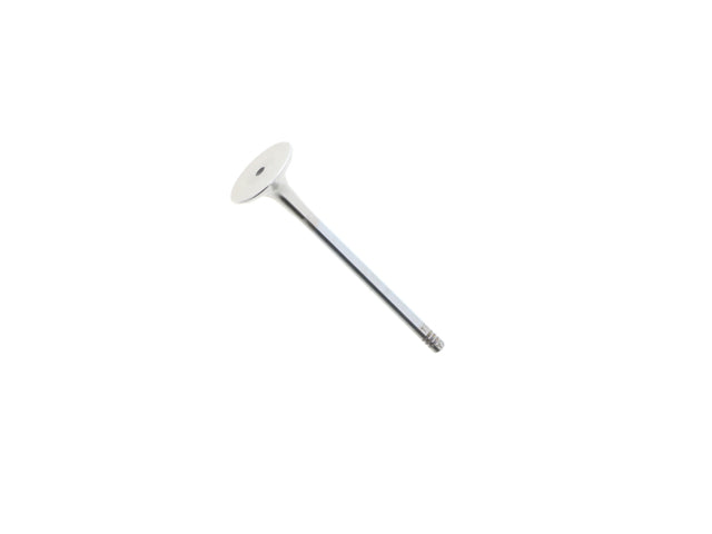 TRW Exhaust Valve 111031
