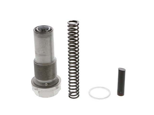 INA Timing Chain Tensioner - 5510118100