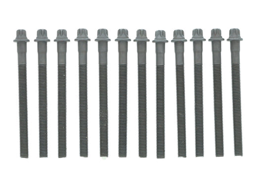 ELRING KLINGER Cylinder Head Bolt Set - 460.030