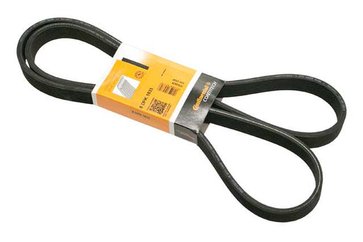 CONTINENTAL Belt 8DK X 1833 - 8DPK1833