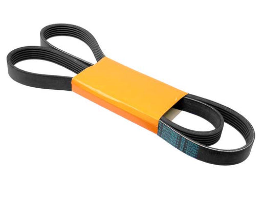 CONTINENTAL Belt 6K X 1548 - 6PK1548