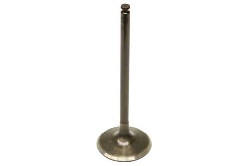 TRW Exhaust Valve - 261035