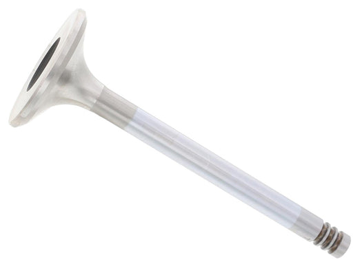 TRW Exhaust Valve - 1123