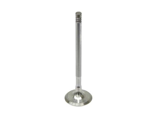 INTERVALVES Exhaust Valve - 3316.239