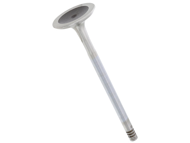 TRW Exhaust Valve - 111209