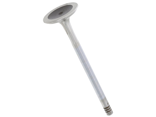 TRW Exhaust Valve - 111209