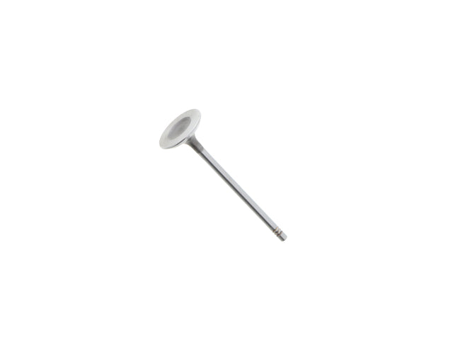 AE Intake Valve - V95035