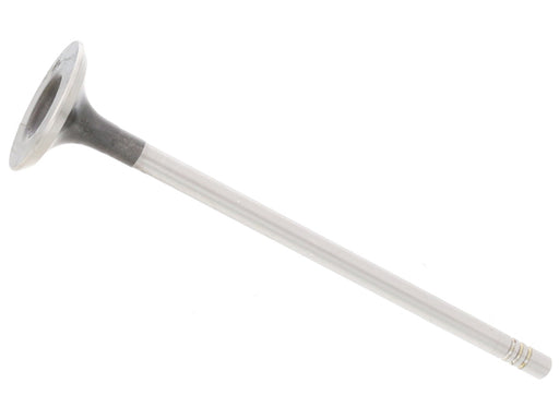 AE Exhaust Valve - V95036